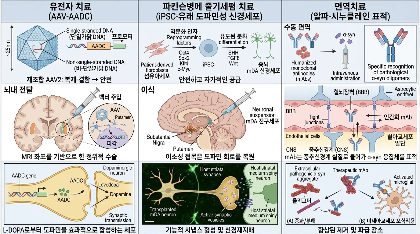 미래 치료 3가지 — 유전자 치료, 줄기세포, 면역치료